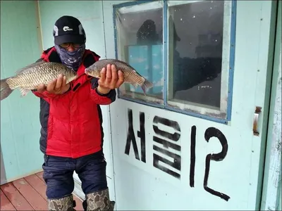 17.04.09 송전지 서울집 조황