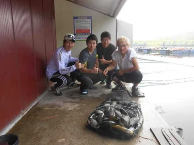 *****실시간 조황사진*****