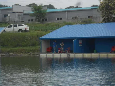 *****실시간 조황사진 올려봅니다*****