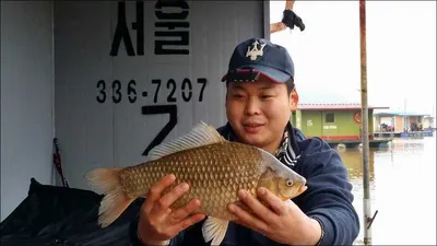 송전지 서울집 2016.03.07 조황(첫4짜)