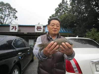 봉림지 9월 중순 조황 정보 및 월척 감상하세요