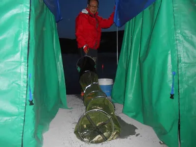 ^^조황소식&수상좌대이벤트^^