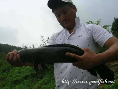 7월 마지막 조황