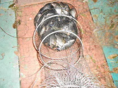 9월20일 조황정보