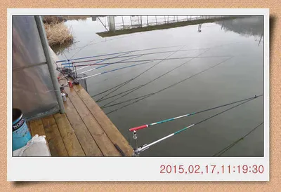 충남 아산 월선낚시터 2월 17일자 스케치