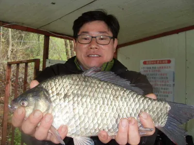 [당진 가교리지] 토종 대물 조황정보..