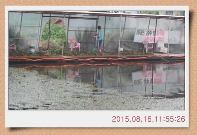 월선낚시터 수초작업 진행했습니다.