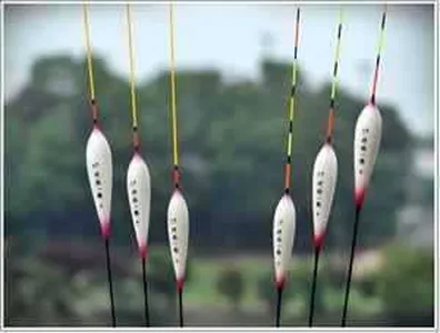 [각평지] 6월 첫째날 여름의 시작 (군계일학)