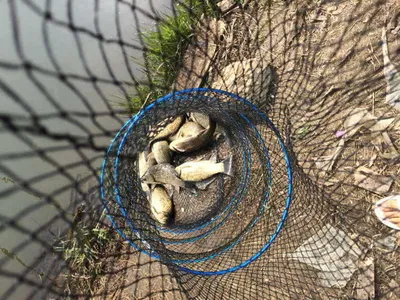 안녕하세요 충남 공주시 요룡지 행복낚시터입니다^^