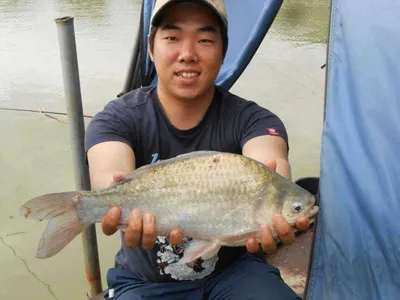 *****실시간 조황사진 올려봅니다*****