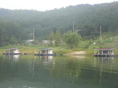 국화지 8월 다섯째 주 조황입니다.