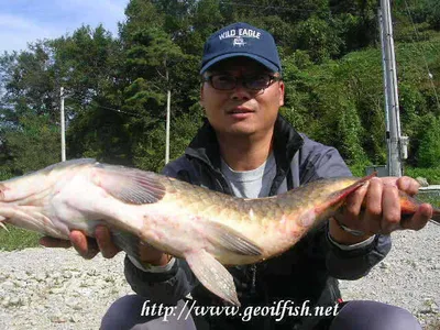 한로(寒露) 조황