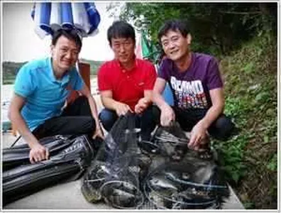 [각평지] 6월 25일 조황 (한낮의 찌올림 영상과 그들만의 리그)