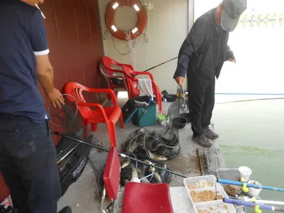 ^^조황소식&수상좌대이벤트^^