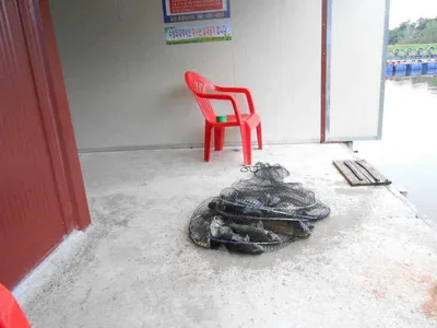 *****실시간 조황올립니다*****