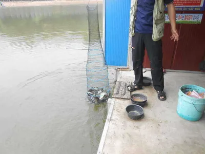 *****실시간 조황사진*****