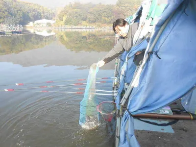 ^^실시간 조황과 수상좌대 무료개방^^