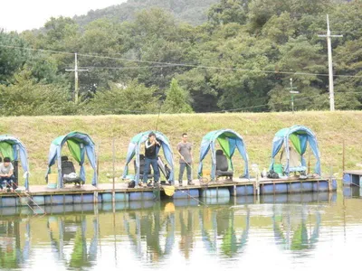 *****실시간 조황올립니다*****