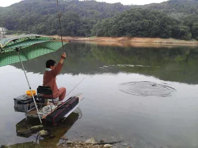 안성죽산장계지