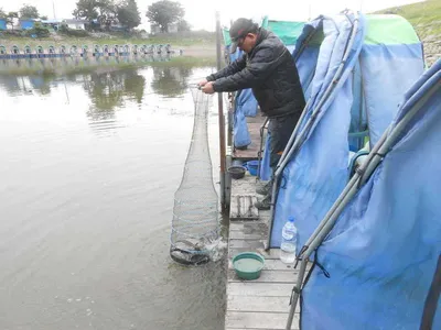 *****실시간 조황사진*****