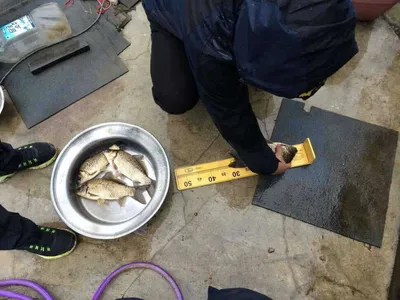 안녕하세요 행복낚시터 입니다~ (요룡지)