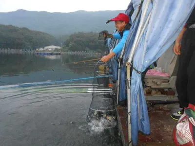 *****실시간 조황사진*****