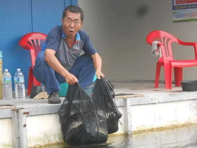 *****실시간 조황사진 올려봅니다*****