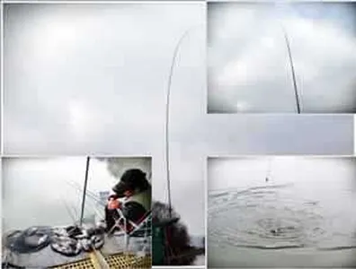 [각평지] 3월 6,7일 주중 조황정보