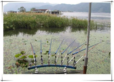 춘천의암호자갈섬낚시터