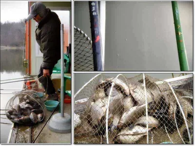 [각평지] 12월 8일 조황 정보