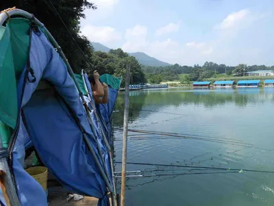 *****실시간 조황사진 올려봅니다*****