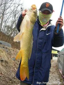 낚시는 확률게임이 아니다~~~