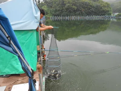 ^^조황소식&수상좌대이벤트^^