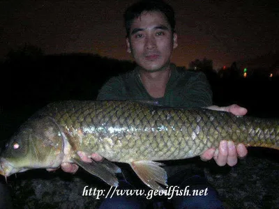 9월 셋째주 조황