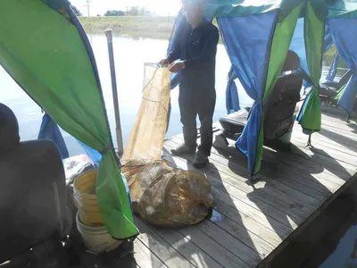 *****실시간 조황사진*****