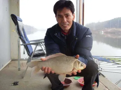 [당진 가교리지] 토종 4자!!! 나오기시작...