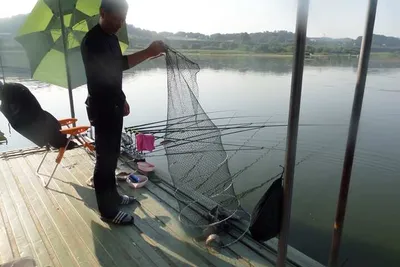 오목낚시터 유월 세번째 주 조황이요~~~