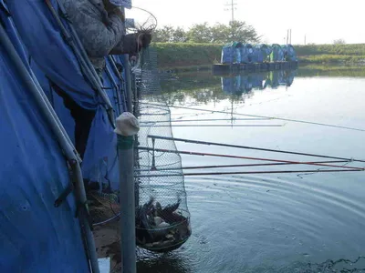 *****실시간 조황소식*****