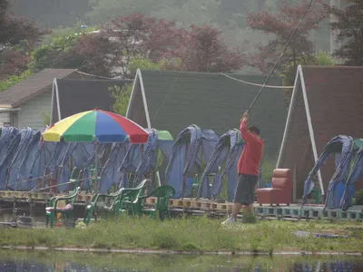 6월8일 각평지 소식