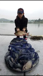 개천절연휴 토종붕어 대박조황..오목낚시터