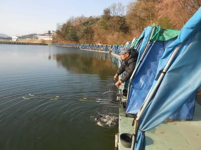 4월 16일 토요일, 봄 개장 기념 무료 점심 식사 제공 안내