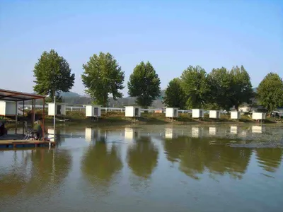 입석 낚시터9월30일 조황안내(토종댐붕어)