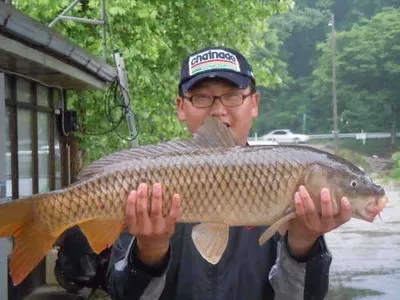 입석낚시터 수상좌대조황입니다