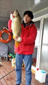 15.11.10 송전지 서울집 조황