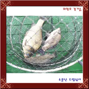 평일좌대비 인하 33,000원 입니다. 의암댐 소문난 드림낚시입니다.