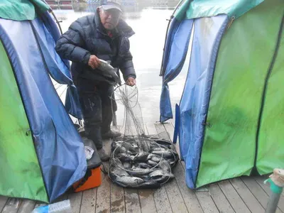 *****실시간 조황사진*****