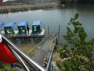 ^^조황소식&수상좌대이벤트^^