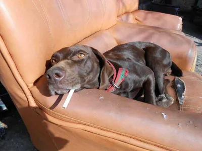 포천초원낚시터 조황입니다^^^