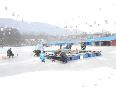 **빙어축제 조황소식**