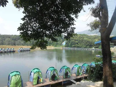 *****실시간 조황사진 올려봅니다*****